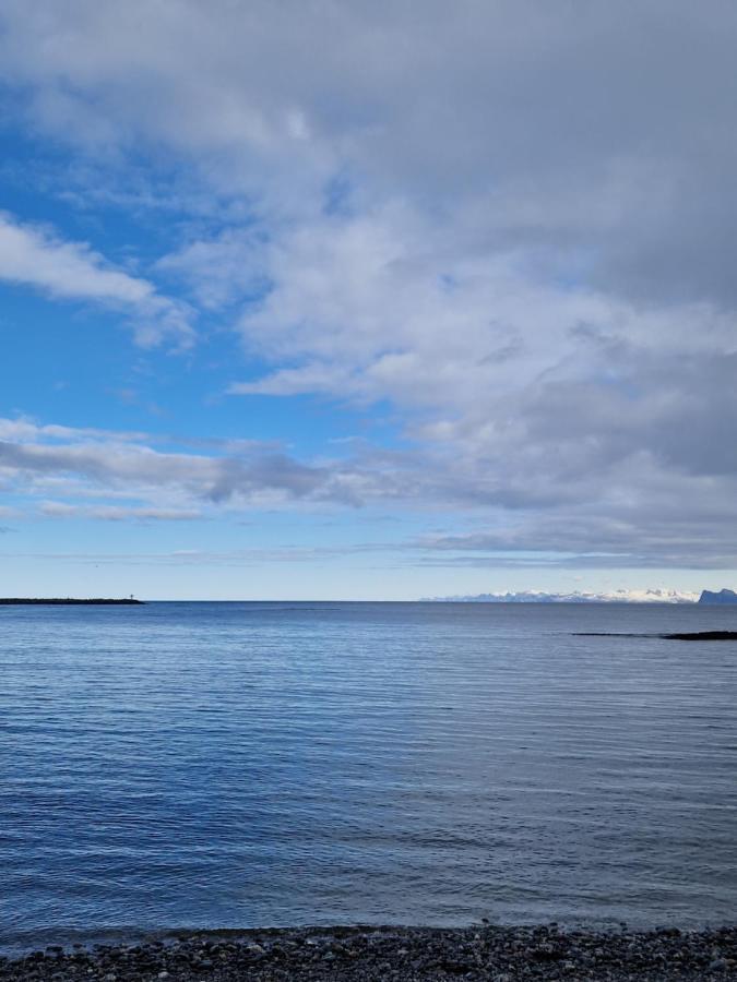 Roligheten Lodge In Andenes Buitenkant foto