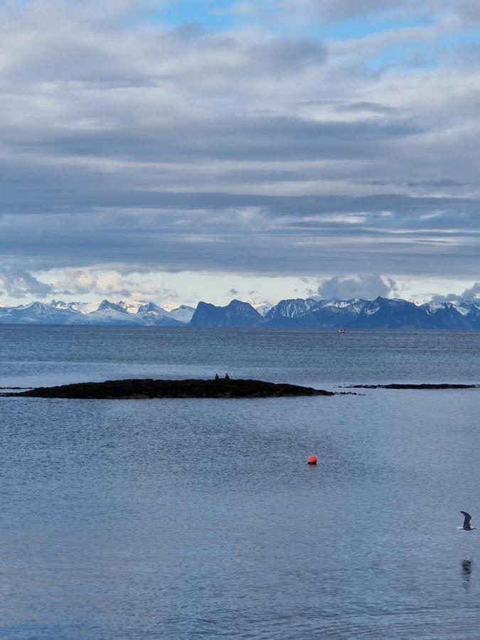 Roligheten Lodge In Andenes Buitenkant foto