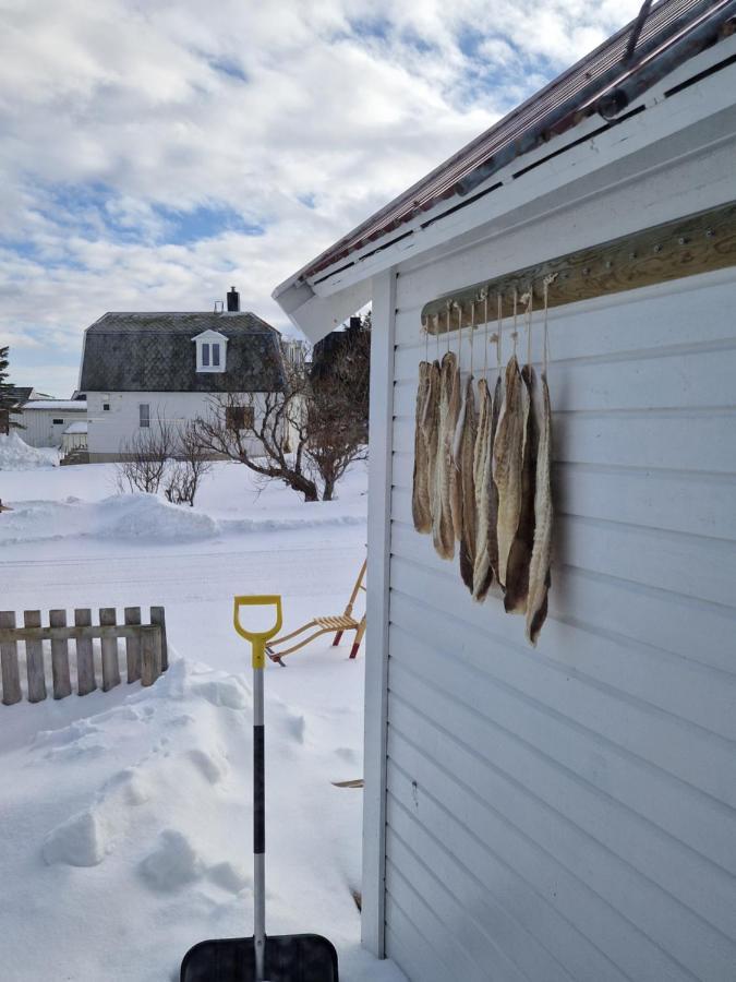 Roligheten Lodge In Andenes Buitenkant foto